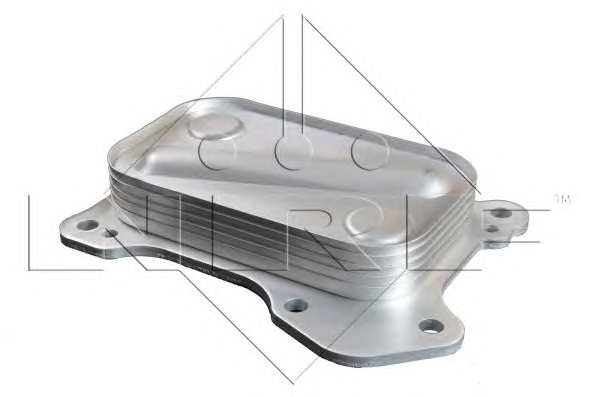 1 RADIATORE OLIO MOTORE NRF FIAT, FORD, LANCIA