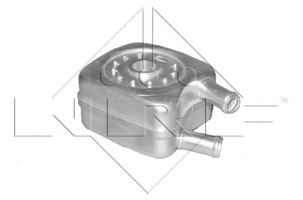 1 RADIATORE OLIO MOTORE NRF AUDI, SEAT, SKODA, SUBARU, VW