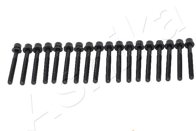 1 BULLONE TESTATA ASHIKA 115-01-102