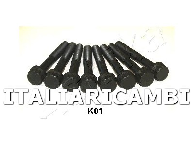 1 BULLONE TESTATA  ASHIKA 