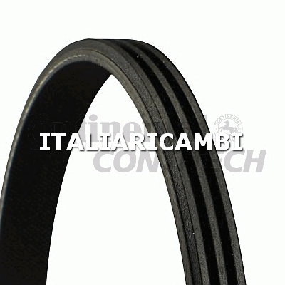 1 CINGHIA POLY-V  CONTITECH FIAT, SUBARU, LANCIA, CHEVROLET
