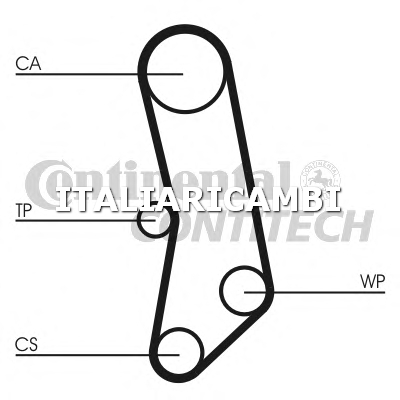 1 CINGHIA DISTRIBUZIONE  CONTITECH FIAT, LANCIA, AUTOBIANCHI