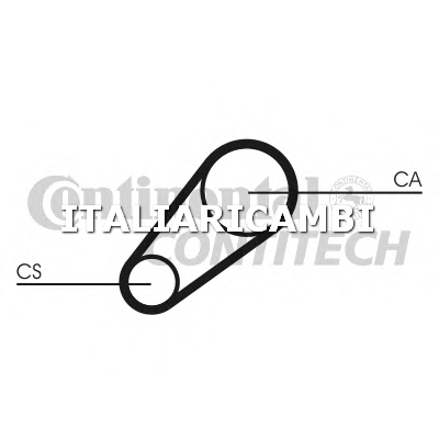 1 CINGHIA DISTRIBUZIONE  CONTITECH FIAT, SEAT