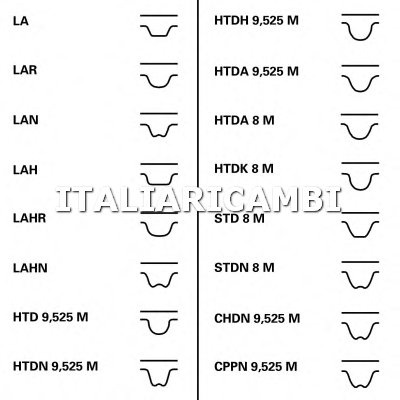 1 KIT CINGHIA DISTRIBUZIONE  CONTITECH 