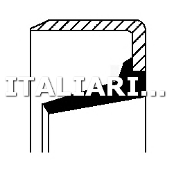 1 PARAOLIO ALBERO REGGISPINTA DISTACCO FRIZIONE  CORTECO 