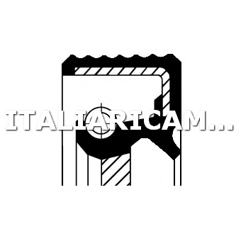 1 PARAOLIO DIFFERENZIALE  DX CORTECO 