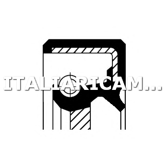 1 PARAOLIO ALBERO A CAMME  DX CORTECO 