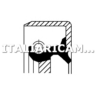 1 PARAOLIO ALBERO PRIMARIO (POMPA OLIO)  DX CORTECO 