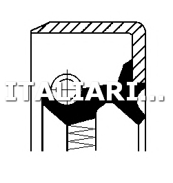 1 PARAOLIO DIFFERENZIALE  ANTERIORE CORTECO 