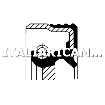 1 PARAOLIO ALBERO A CAMME  DX CORTECO 