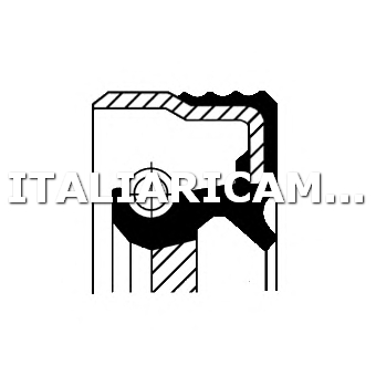 1 PARAOLIO ALBERO INTERMEDIO  DX CORTECO 