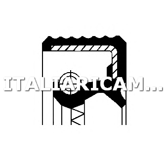 1 PARAOLIO ALBERO A CAMME  CORTECO 