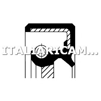 1 PARAOLIO ALBERO A CAMME  DX CORTECO 