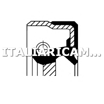 1 PARAOLIO ALBERO A CAMME  DX CORTECO 