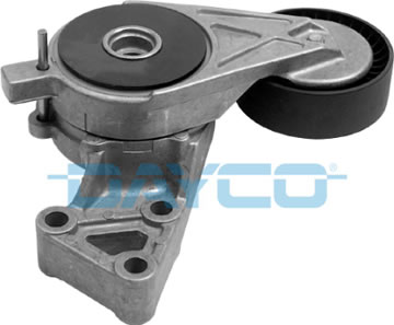 1 TENDICINGHIA CINGHIA POLY-V  DAYCO 