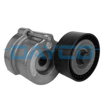 1 TENDICINGHIA CINGHIA POLY-V  DAYCO 
