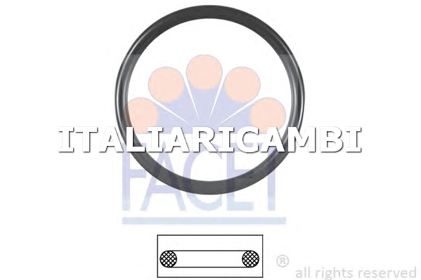 1 GUARNIZIONE TERMOSTATO  FACET FORD, VW, SKODA, SEAT, MITSUBISHI
