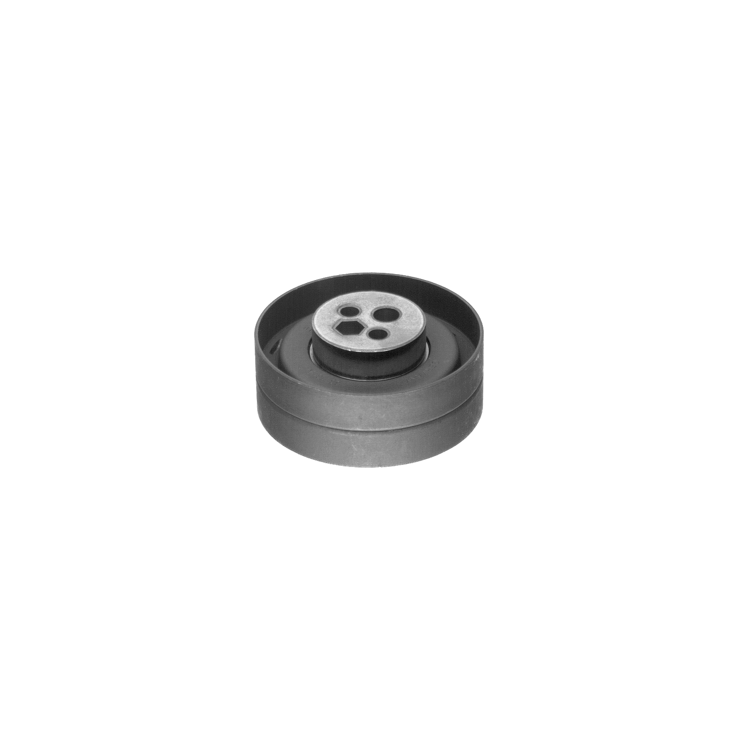 Foto Tenditore Cinghia DistribuzioneFEBI BILSTEIN 09613