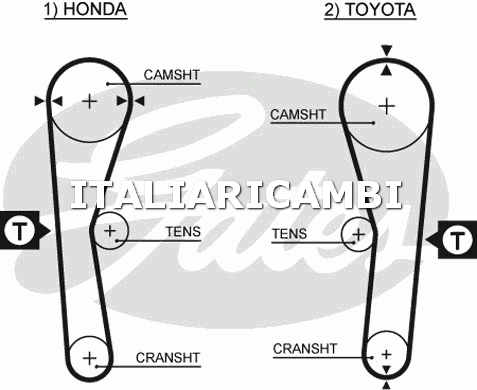1 CINGHIA DISTRIBUZIONE  GATES ZAZ, TOYOTA, HONDA