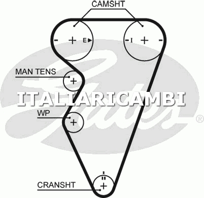 1 CINGHIA DISTRIBUZIONE GATES 5416XS