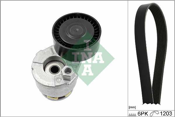 1 KIT CINGHIE POLY V  INA RENAULT