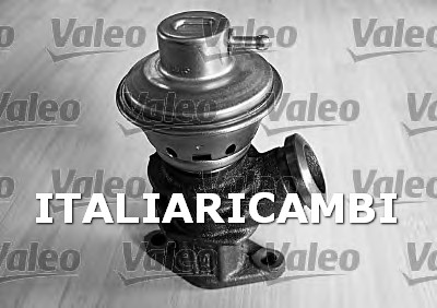 1 VALVOLA EGR  VALEO 700405